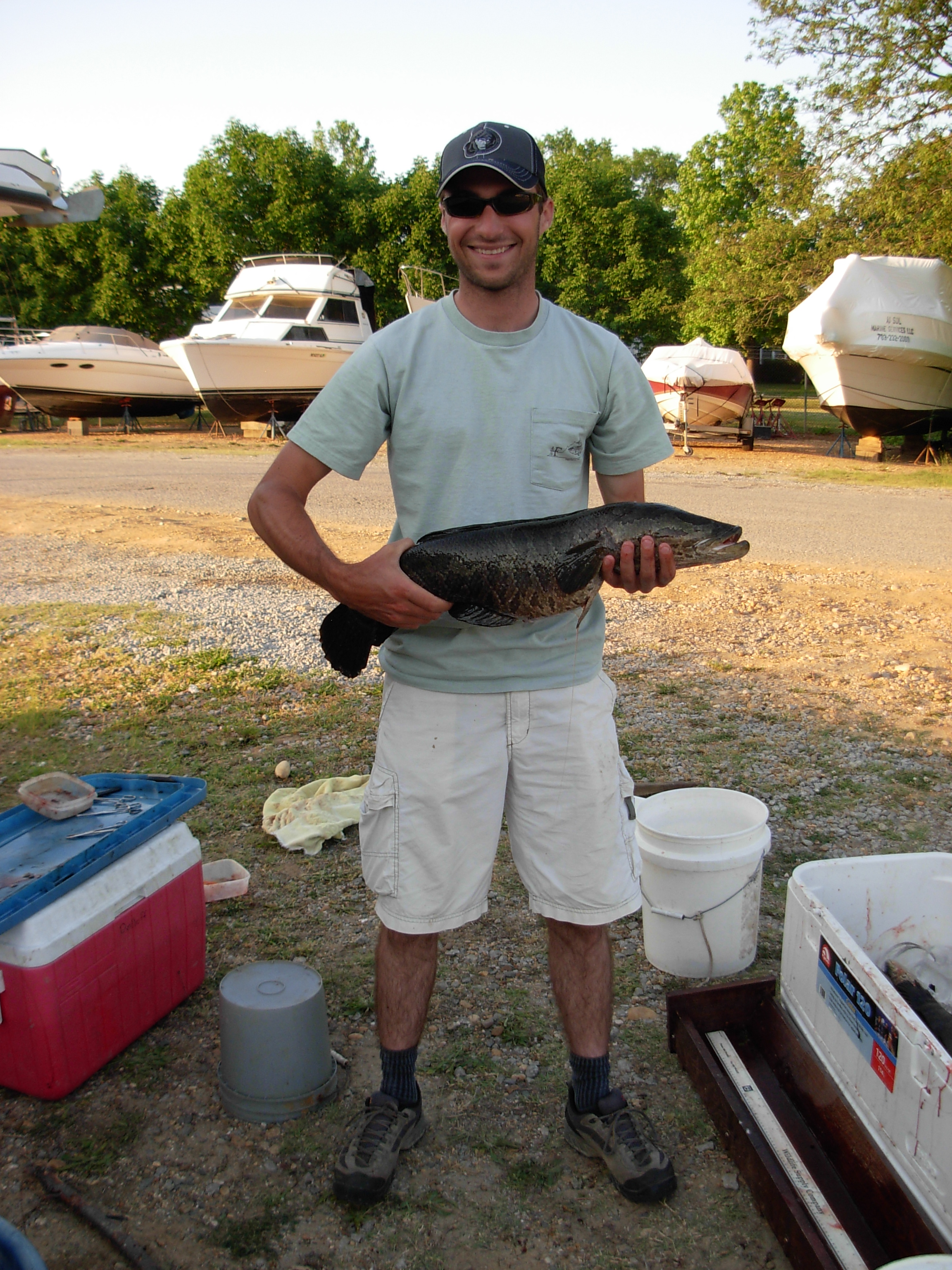 Nicolas Lapointe holds a northern snakehead.