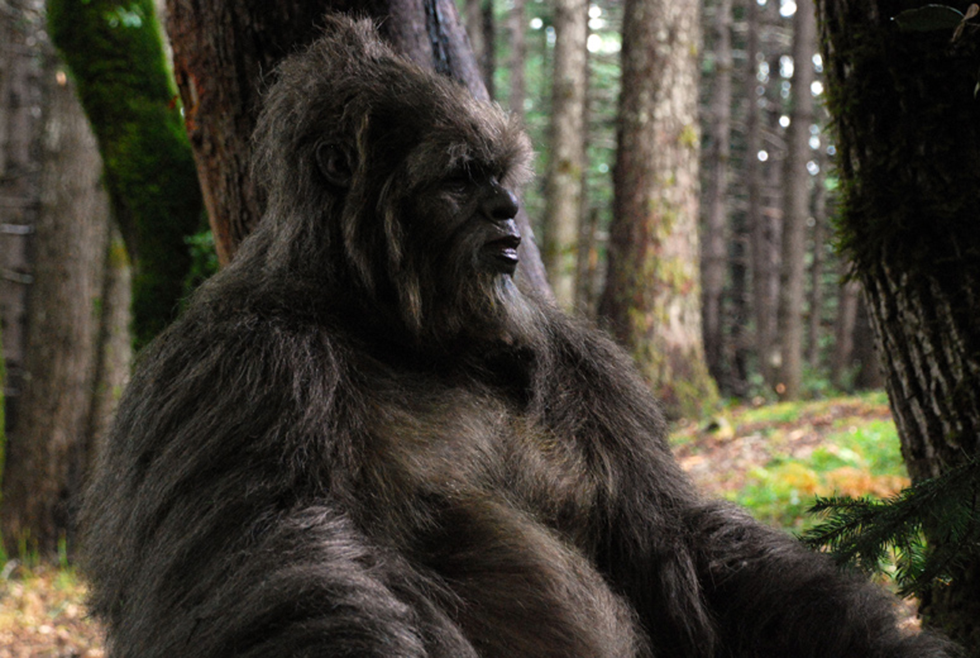 Isaac C. Singleton Jr. dressed as sasquatch in "Letters From the Big Man"