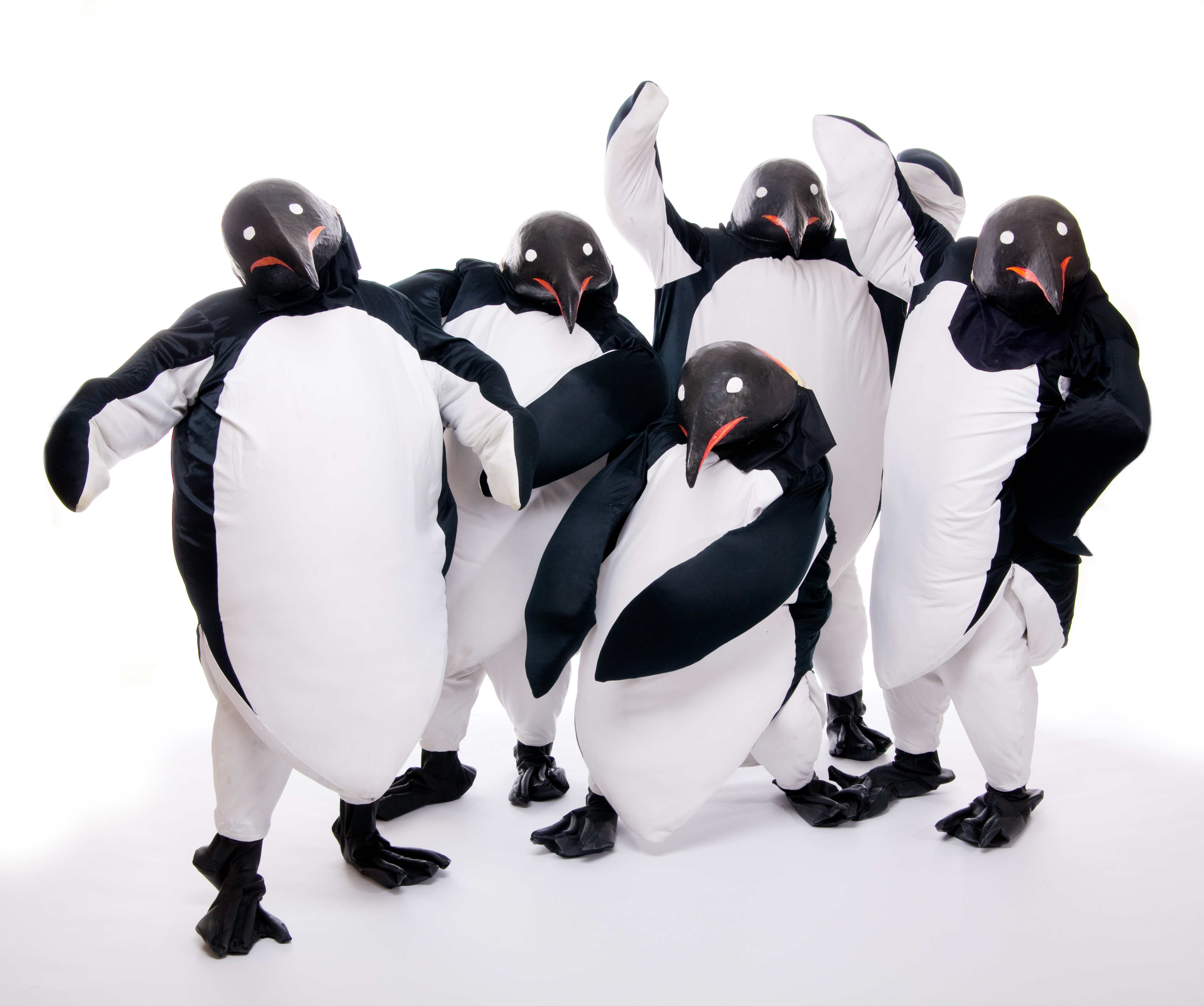 Imago Theatre penguins