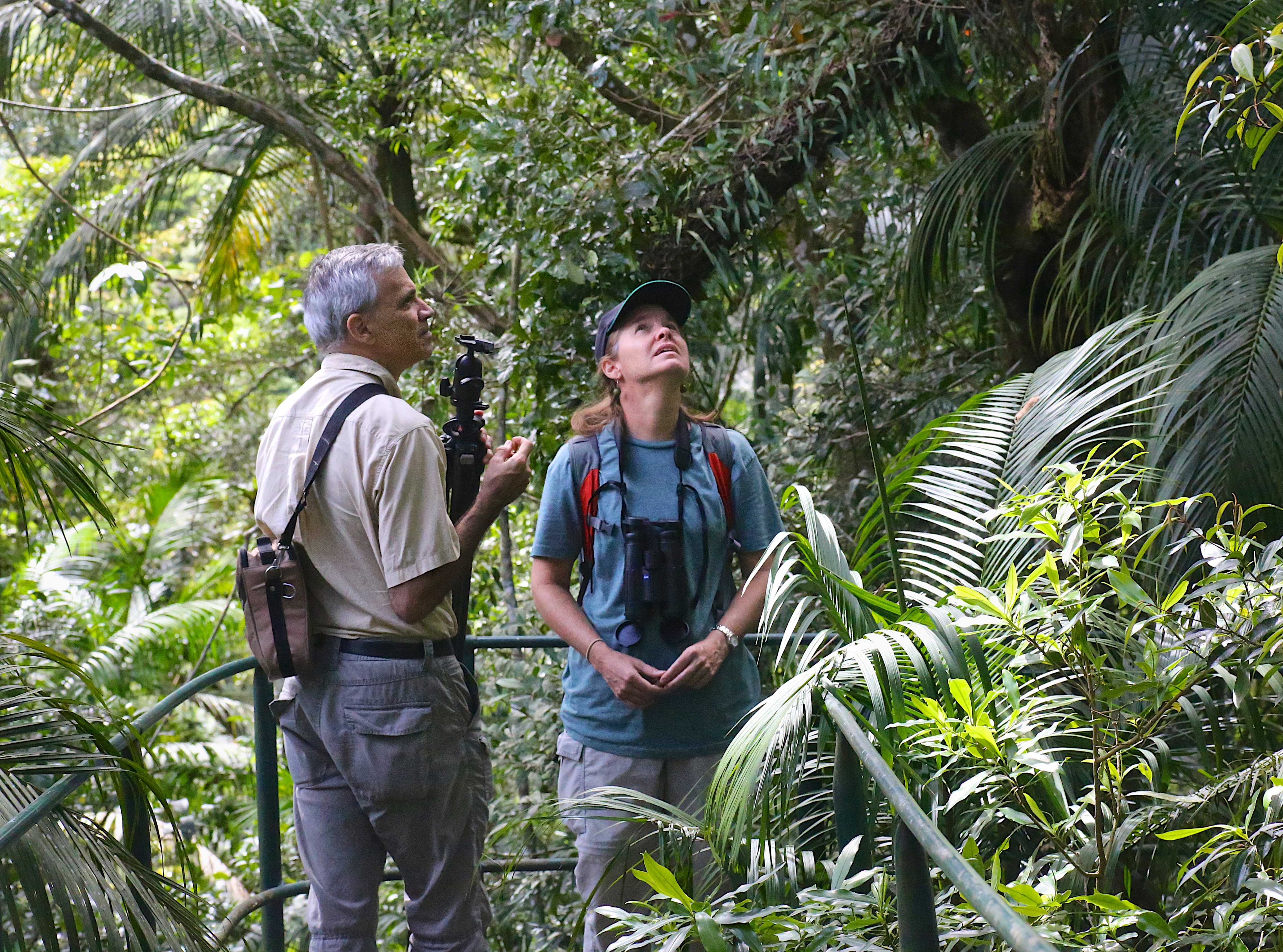 A man and a woman standing in a dense tropical forest