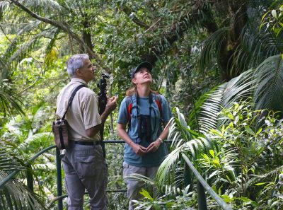 A man and a woman standing in a dense tropical forest