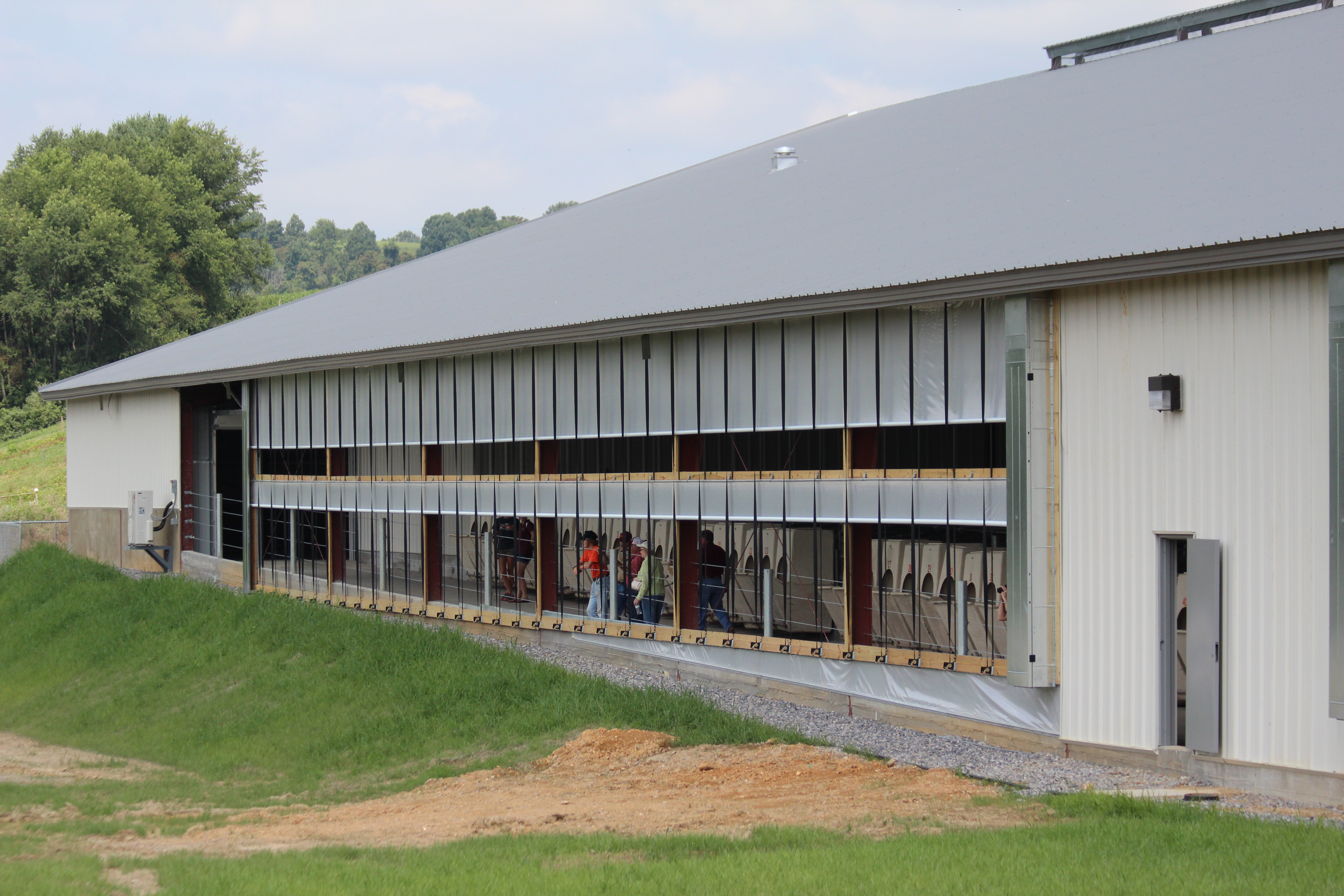 People tour a dairy barn lined with troughs.