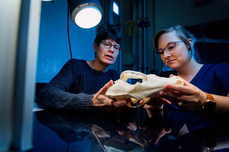 (From left) Teresa Southard and Emily Falls examining a skull.