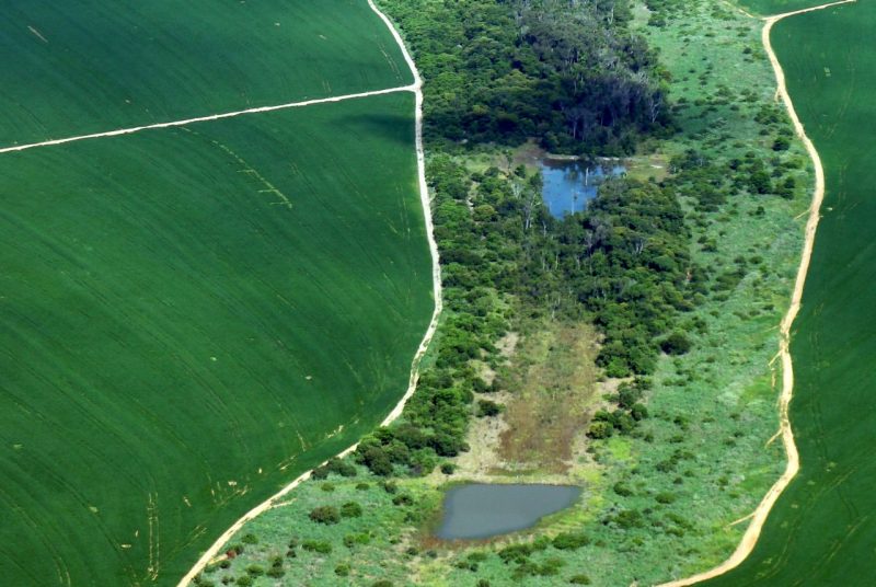 Aerial image of stream within Amazon Basin