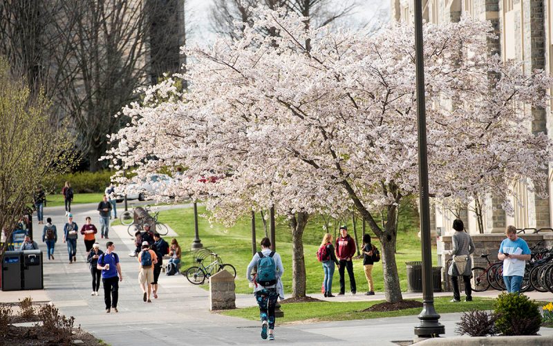 Students on campus during a spring day