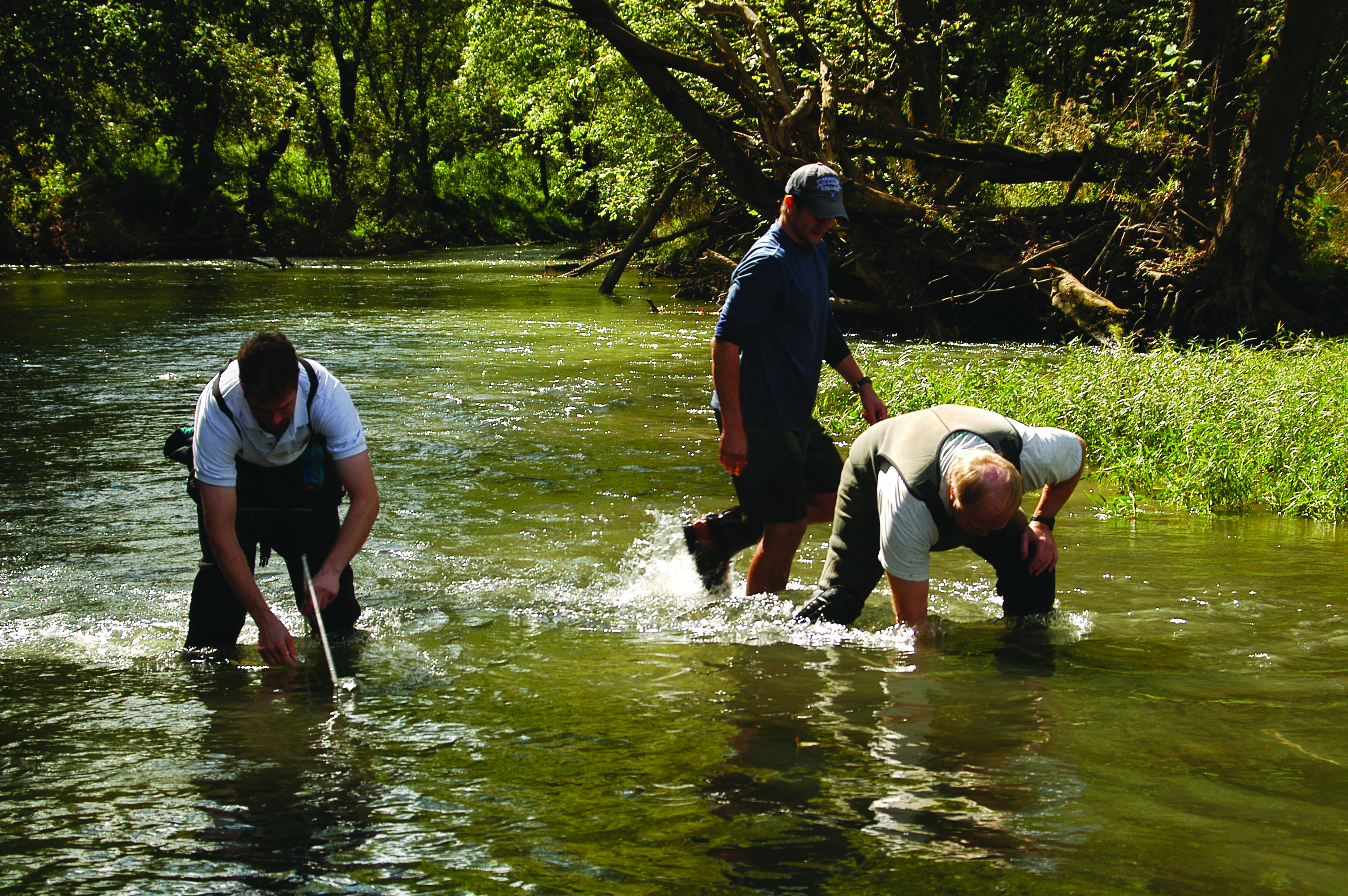 Three agency staff members place mussels into a river.