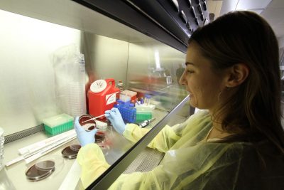 A graduate student cultures Clostridium difficile under the lab hood in Josep Bassaganya-Riera's Lab at Virginia Bioinformatics Institute at Virginia Tech.