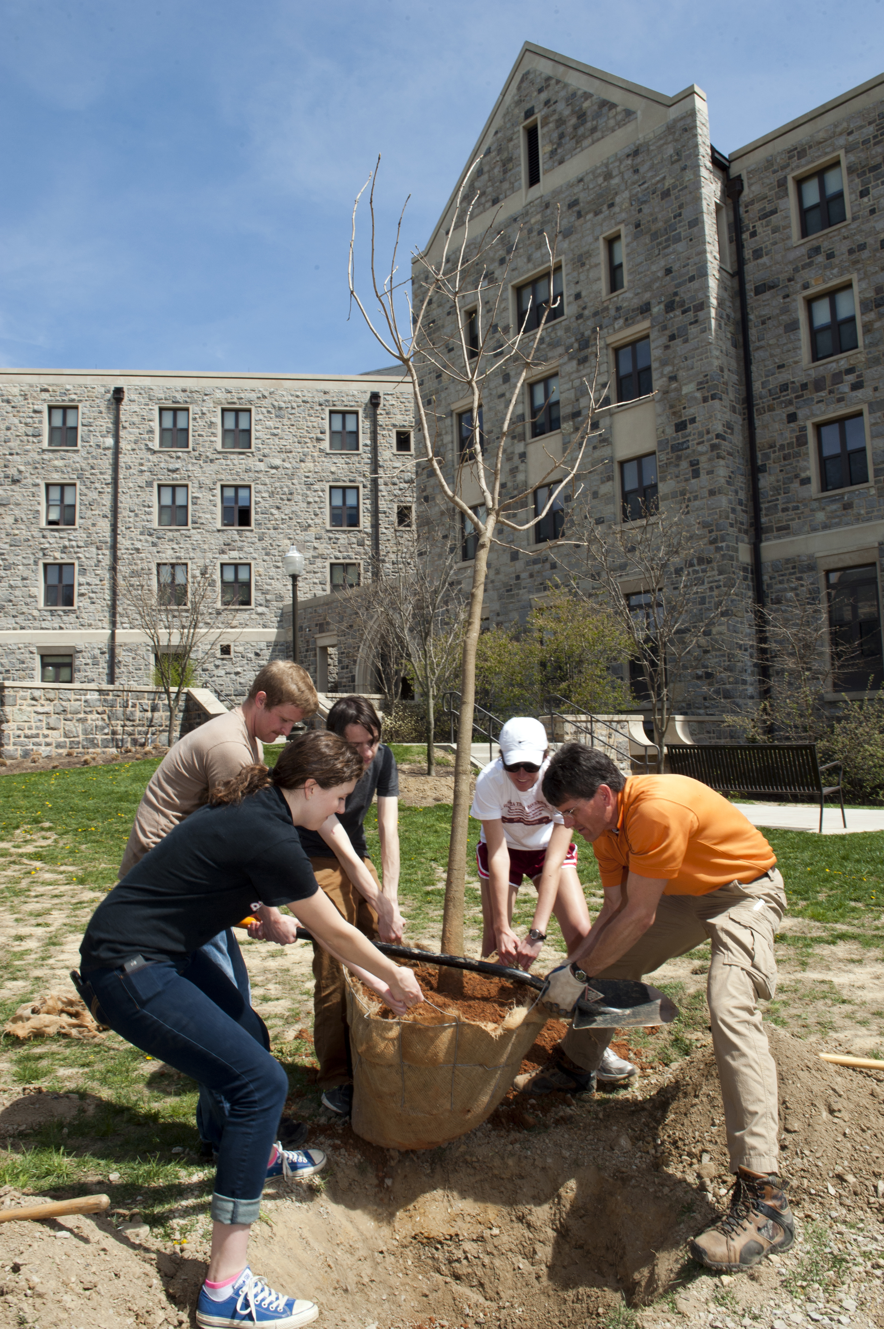 Several students dig a hole to plant a new tree on campus.